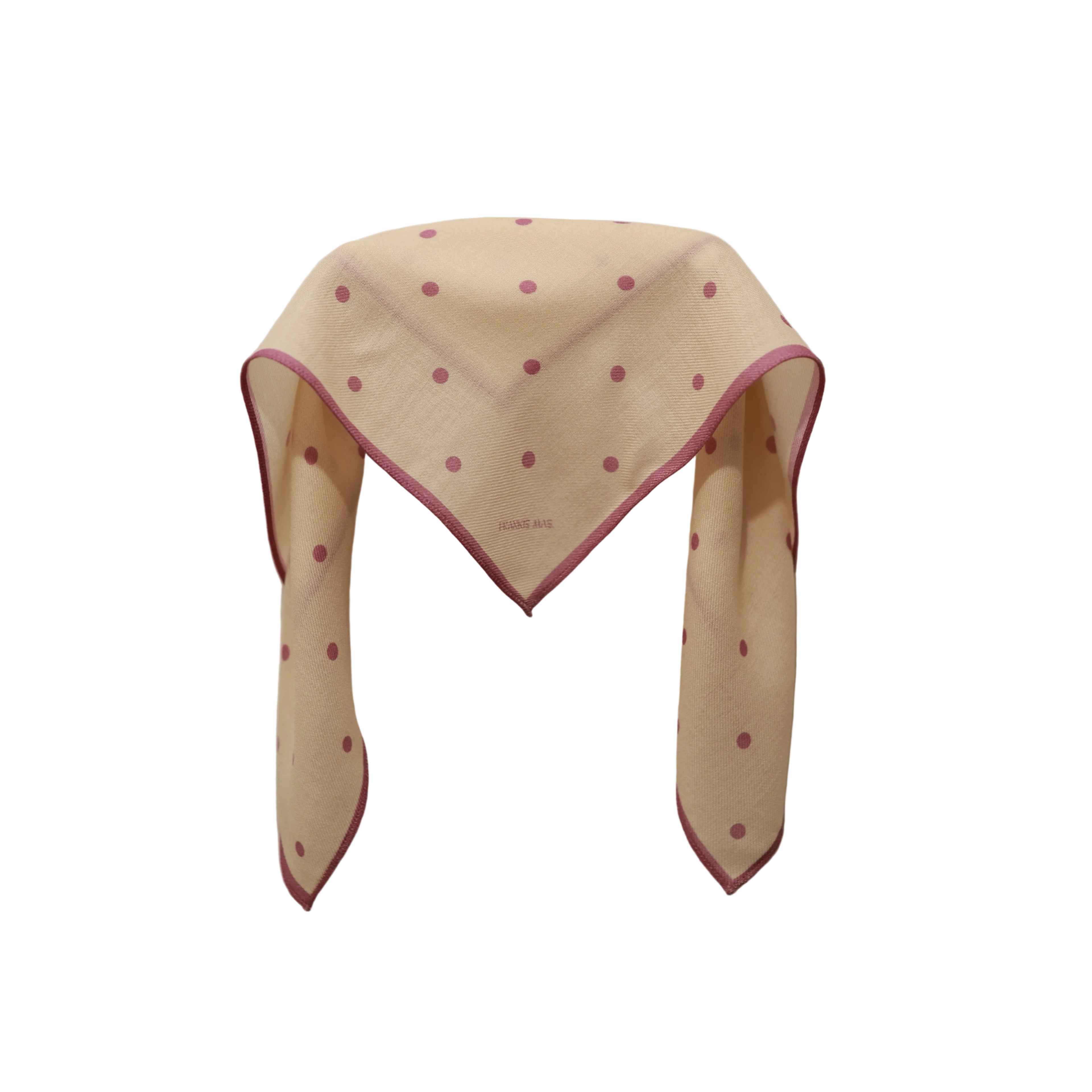 Mini Coco