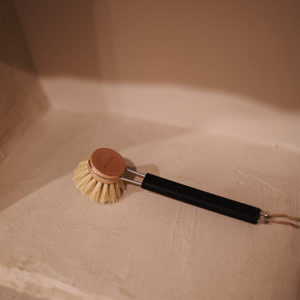 Dish Brush - Tampico