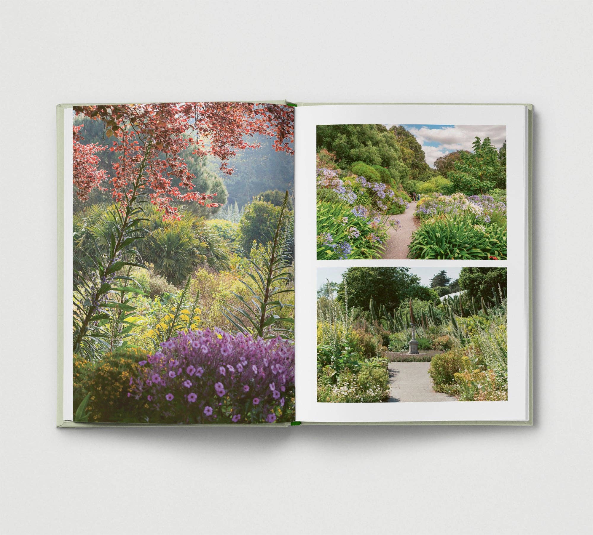 Britain's Best Gardens - Due in end of July