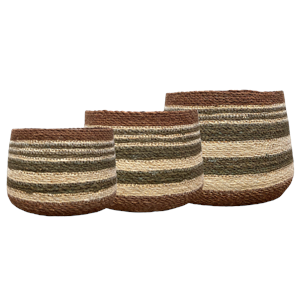 Eloise Bulb Basket - Olive