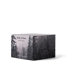 Study Of Trees Limited Edition Scented Candle- arriving mid-late Jan