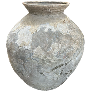 Advika Water Pot