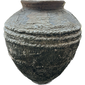 Advika Water Pot